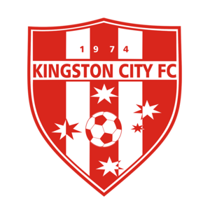  金士顿城